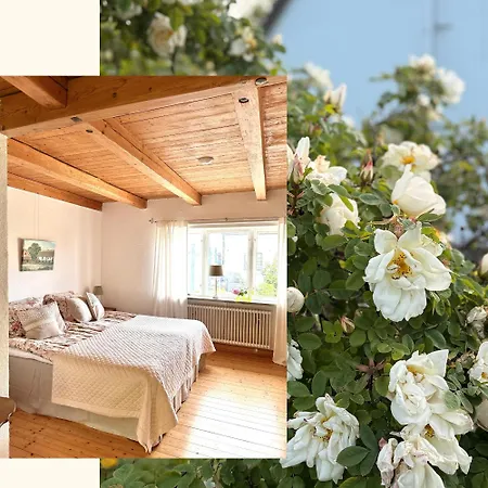 Rävåkra B&B Österlen-3